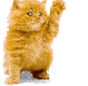 wavingkitty.gif
